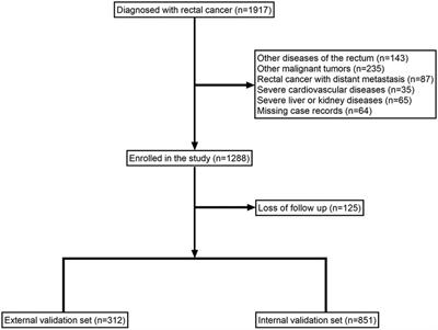 Applying interpretable machine learning algorithms to predict risk factors for permanent stoma in patients after TME